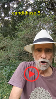 06/03/26 – Série Candidíase – Vídeo 5