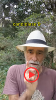 10/03/26 – Série Candidíase – Vídeo 9